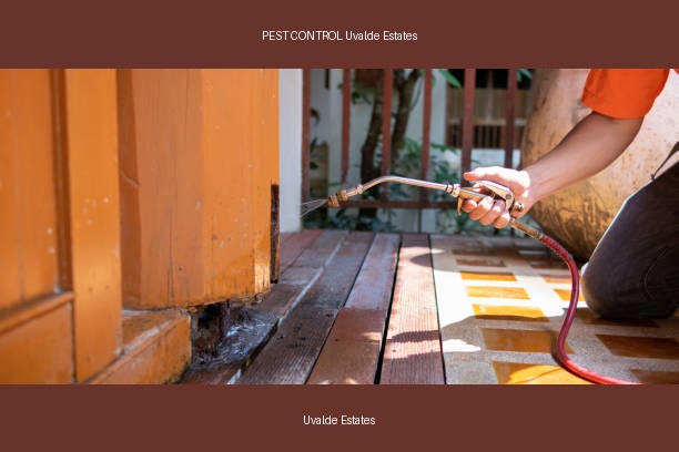 PEST CONTROL Uvalde Estates